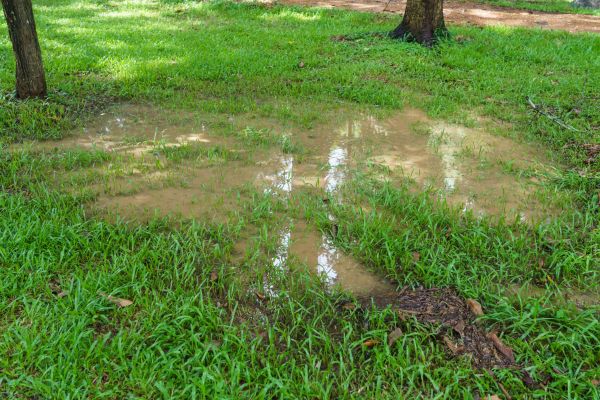 Storm Water Drainage Service in Chagrin Falls