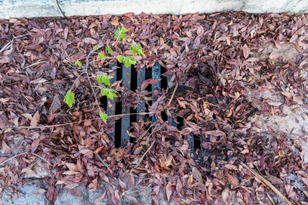 Yard Drain Unclogging in Chagrin Falls