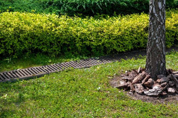 Residential Landscape Drainage in Chagrin Falls