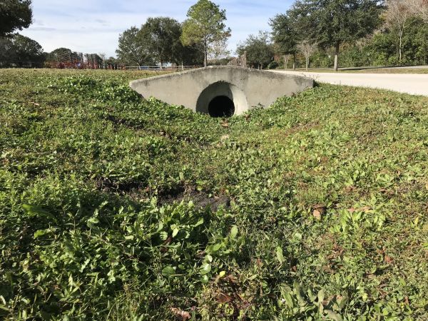 Cost of Swale Drainage Service in Chagrin Falls